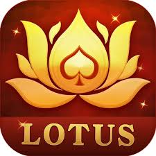 50 rupaye bonus rummy download